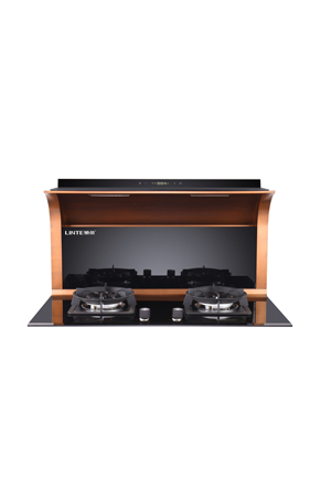 广东领帝电气科技有限公司,专业生产领帝吸油烟机,领帝厨电